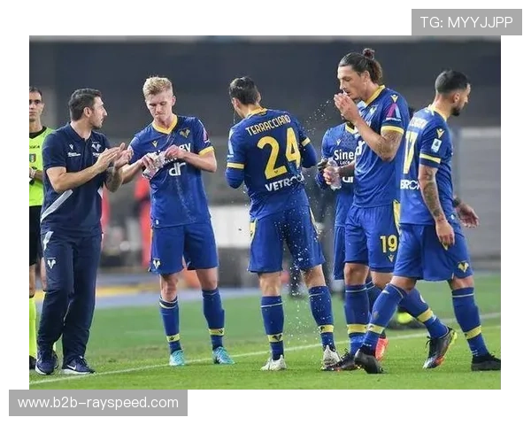 AC米兰对阵维罗纳，主场优势明显